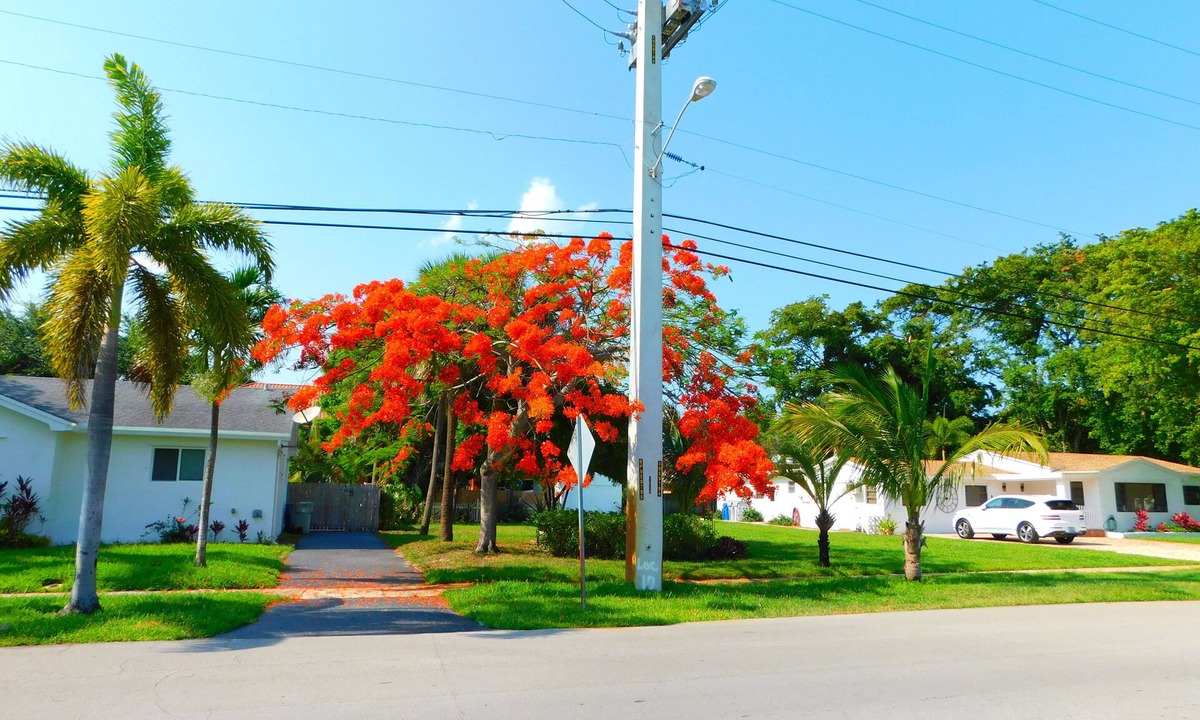 Pompano Beach House | 2HOMES Side By Side,8Bedroom,6.5 Bath,14Beds,32,000 Sq ft land, Team Discount!