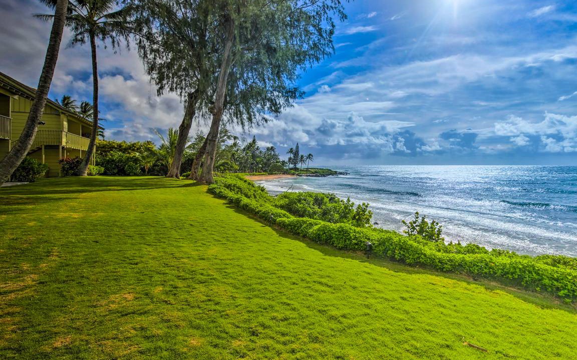 Wailua Condo | 34 m² Condo ∙ 2 guests