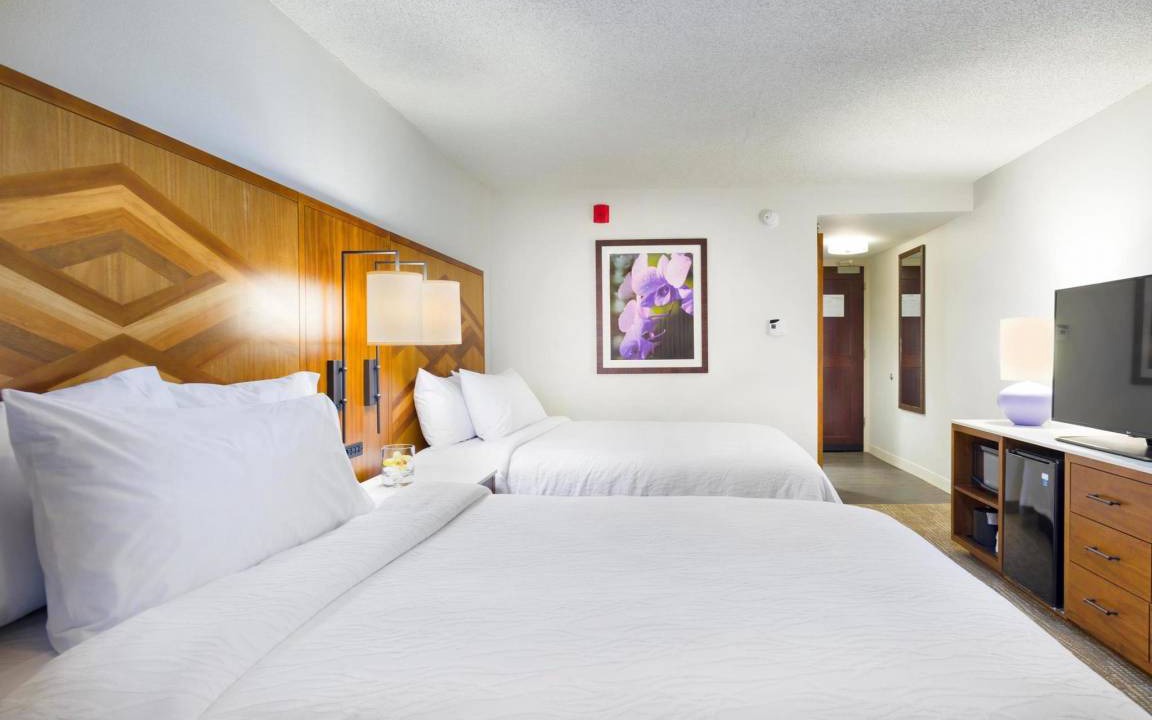 Lihue Hotel | 63 m² Hotel ∙ 127 guests