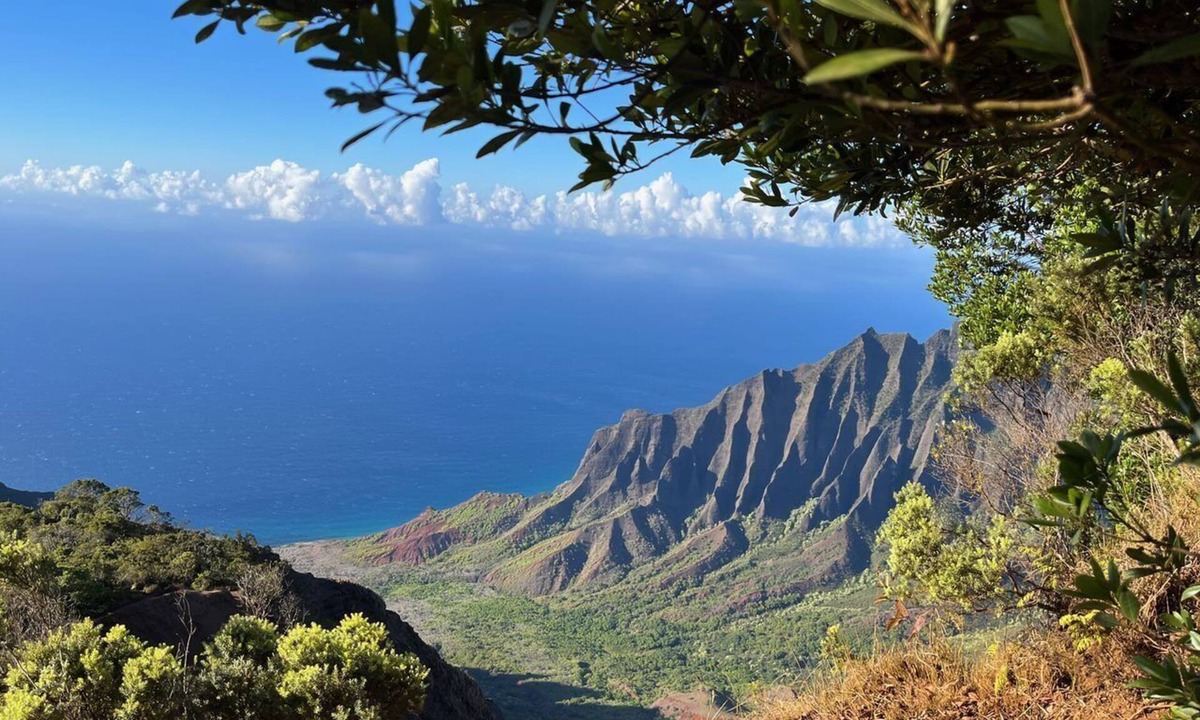 Princeville House | Albatross Ohana~Top location~3 bedroom house w/loft, waterfall views~ small pet