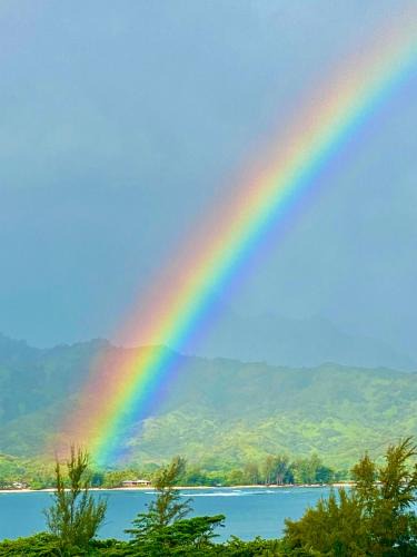 Princeville Resort | BBs Biz E HBR 4104/5/6