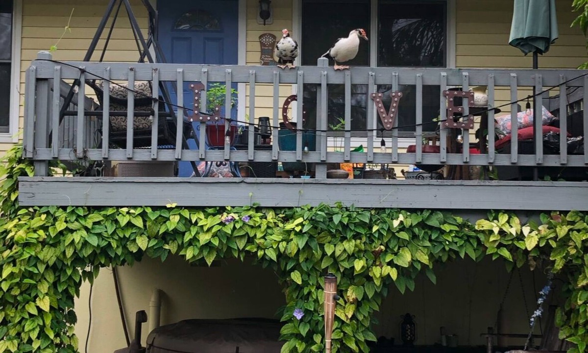 Jupiter Farms House | Charming 2-bedroom farmhouse in brilliant Jupiter with AC, WiFi,Hot tub,