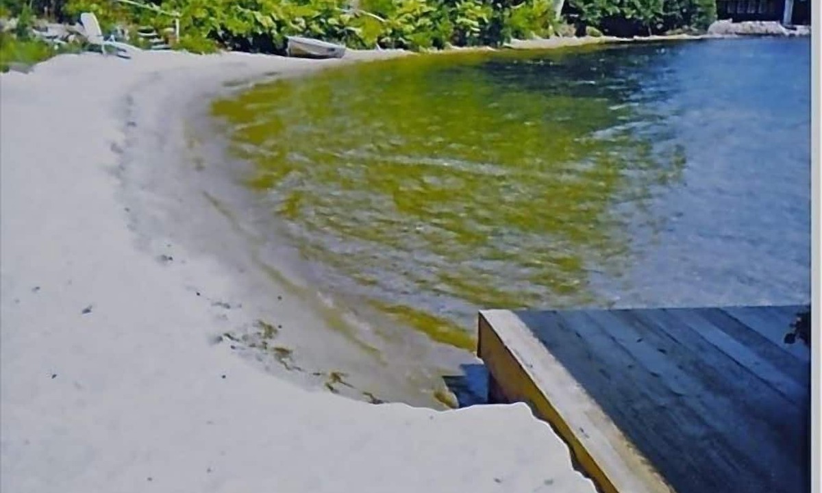 North Lake George House | Great swimming beach! Private 384' Sandy Shoreline,Dock,4bdr cottage on 4.8acres