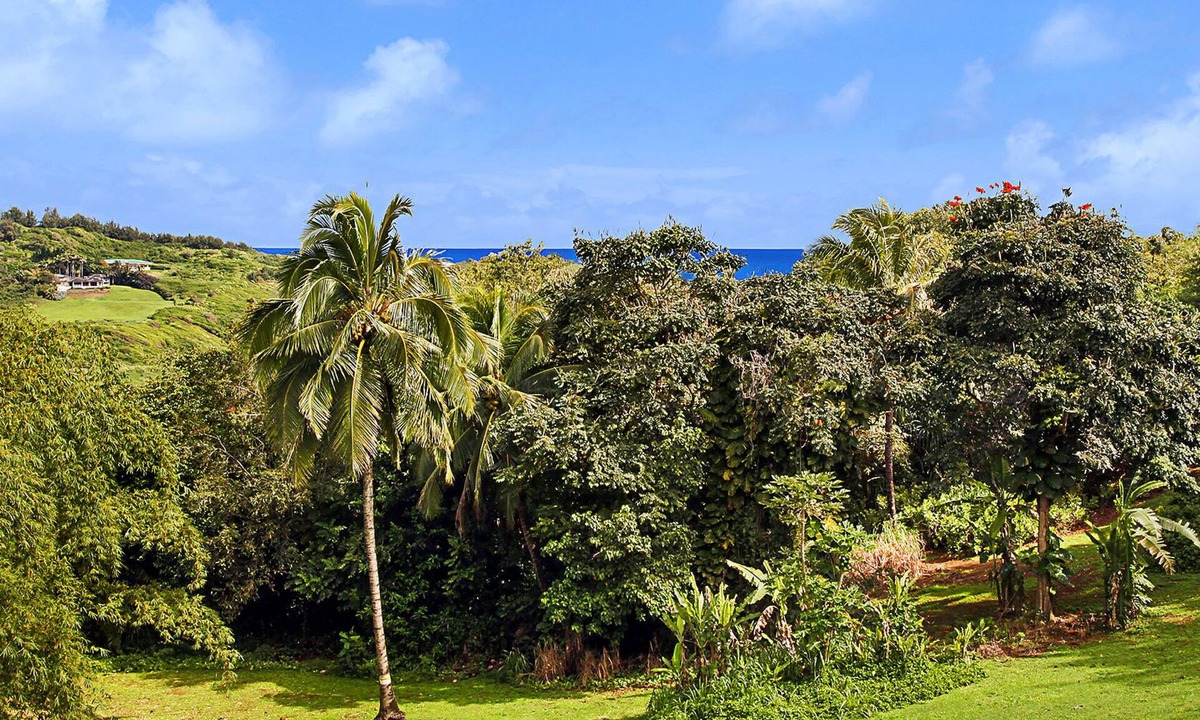 Kilauea House | Hale Kai Kalani - Hosted By Parrish Kauai - Quaint cottage near the beach & bedr