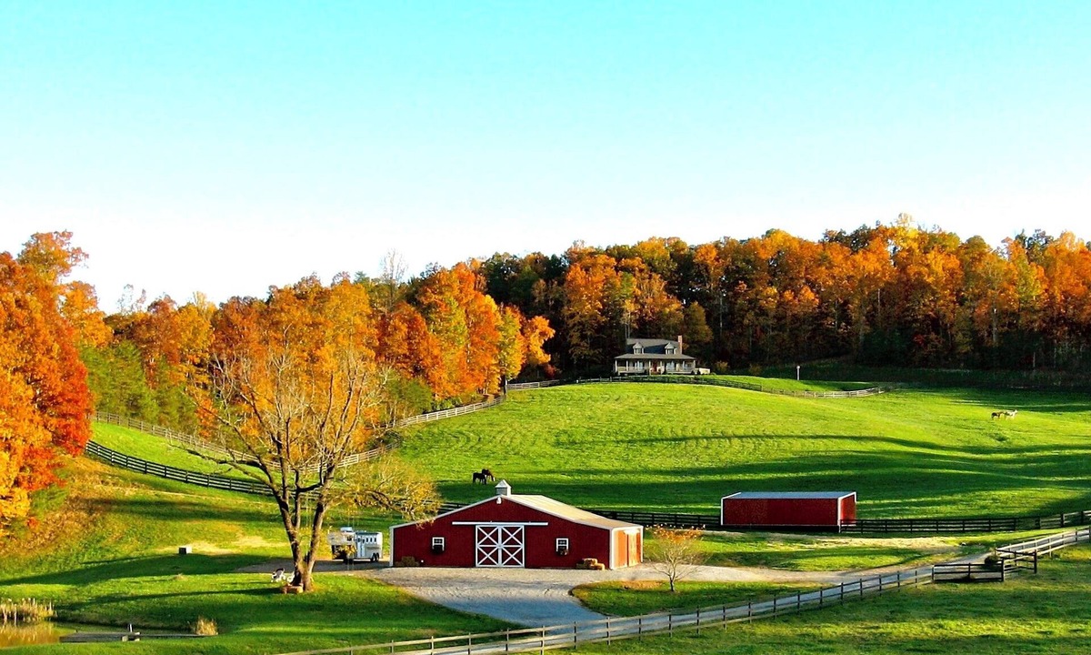 Rutherfordton Cottage | Hilltop Private Tiny Chalet on a Large Farm. Tryon Equestrian. Starlink WiFi.