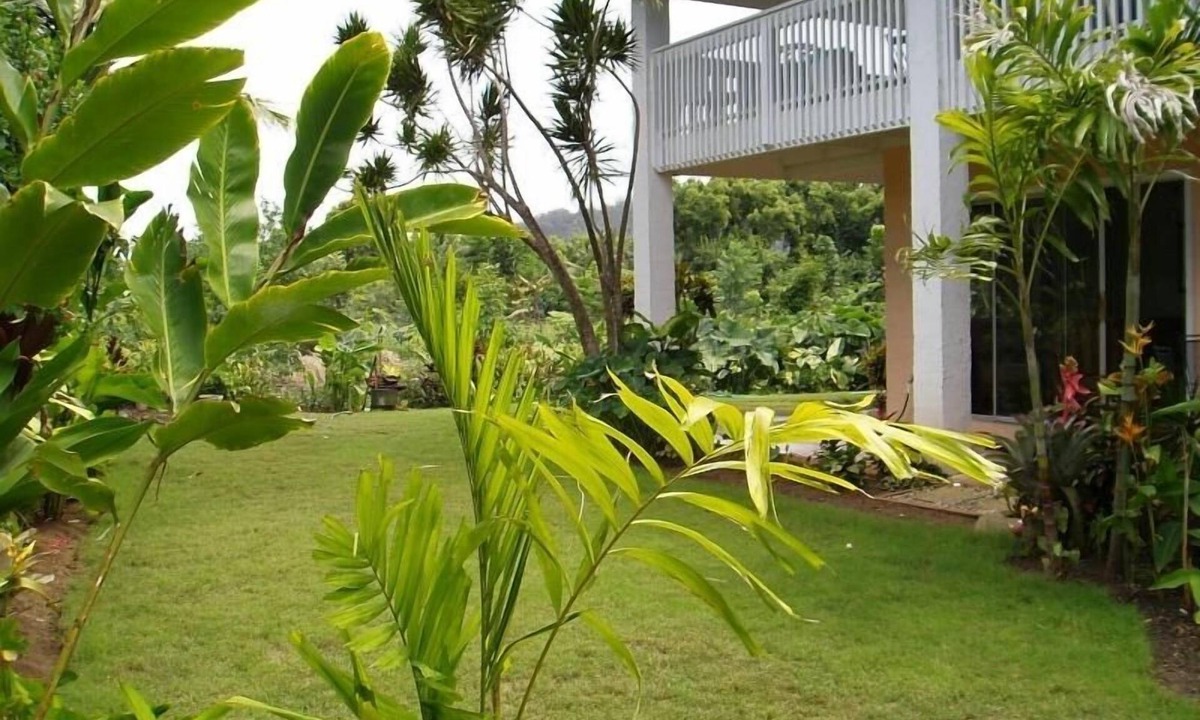 Hanalei Palms House | Just steps to Hanalei Bay. A Peaceful Getaway TVR4188 W31871267