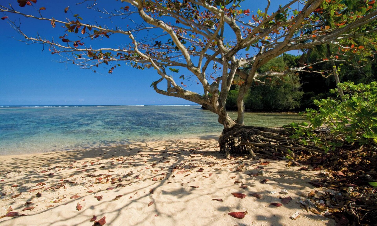 Princeville House | Luxury Beachfront Home on Beautiful Anini Beach! TVR 5079 TVR 5080