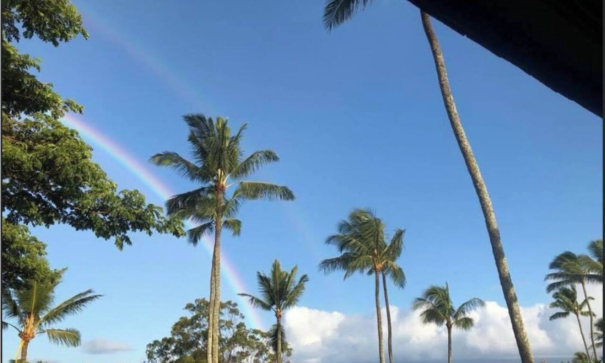 Napili Condo | MAUI BEAUTY ~ Tropical Napili Bay Lahaina CONDO ~1BR King ~ Kitchen ~ AC!