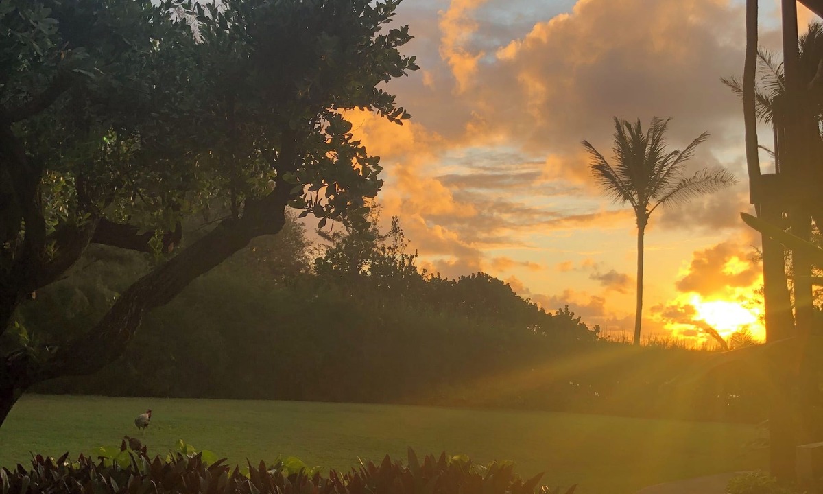 Lihue Condo | Ocean view 2 bedroom centrally located condo. Steps from the ocean!