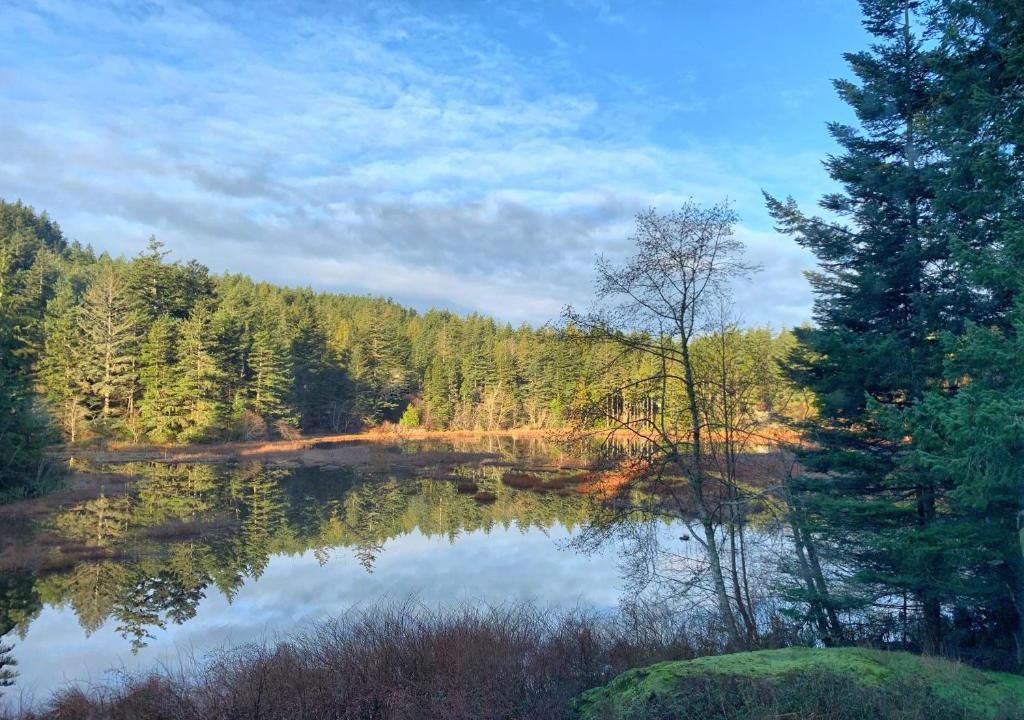 Rosario Bed & Breakfast | Otter's Pond Bed and Breakfast