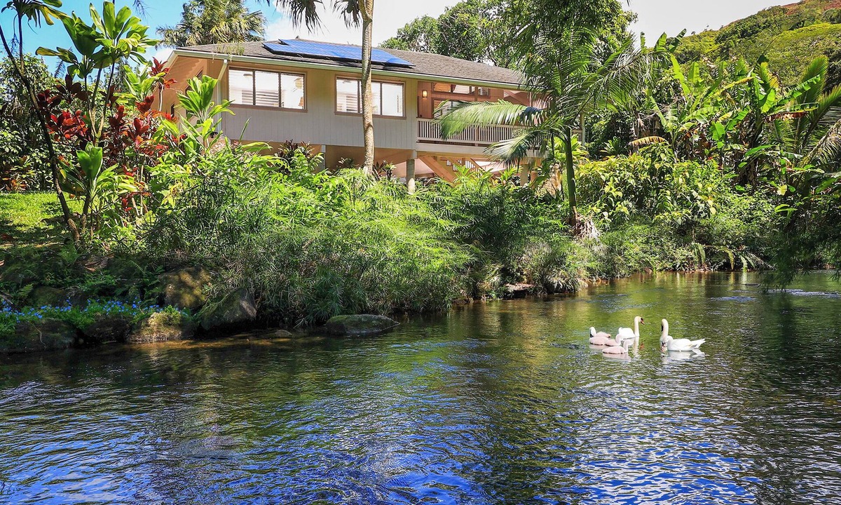 Wainiha House | Paddle to the Beach from a Secluded Riverfront Eden-A/C-Central to Hanalei&Ke'e
