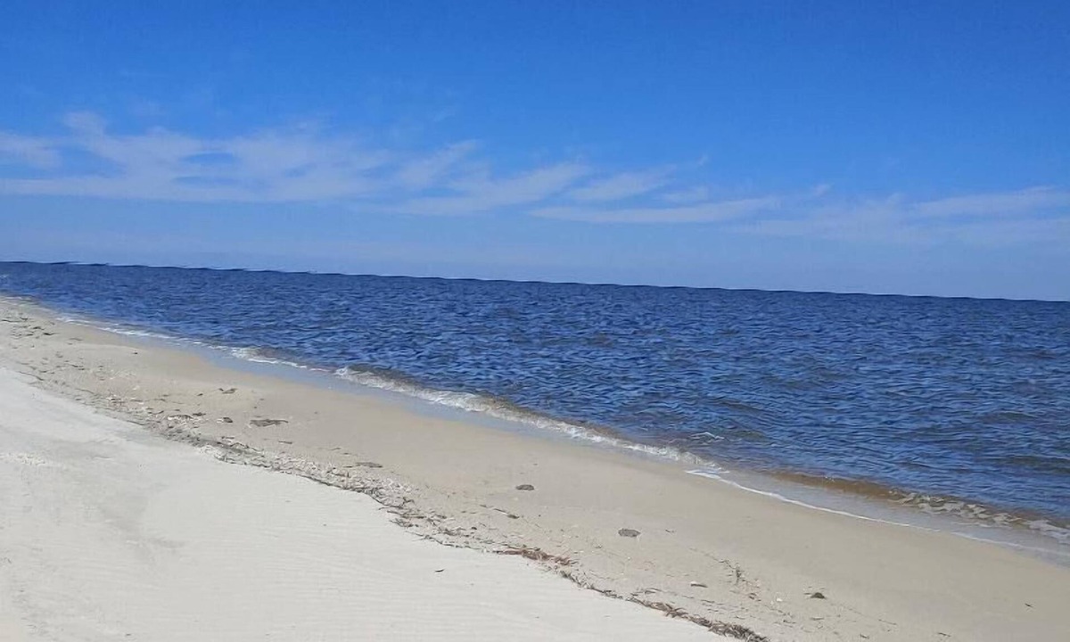 Alligator Point House | Secluded Florida Beach Bungalow AUGUST SPECIAL-BOOK ANYTIME 8/7-8/19 20% OFF!