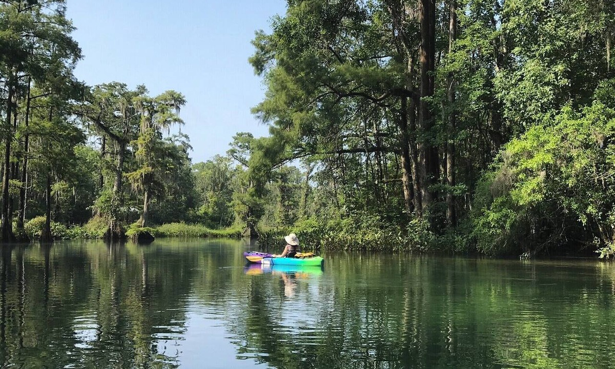 Crawfordville House | Wakulla River Retreat “Treehouse”- a nature lover’s paradise