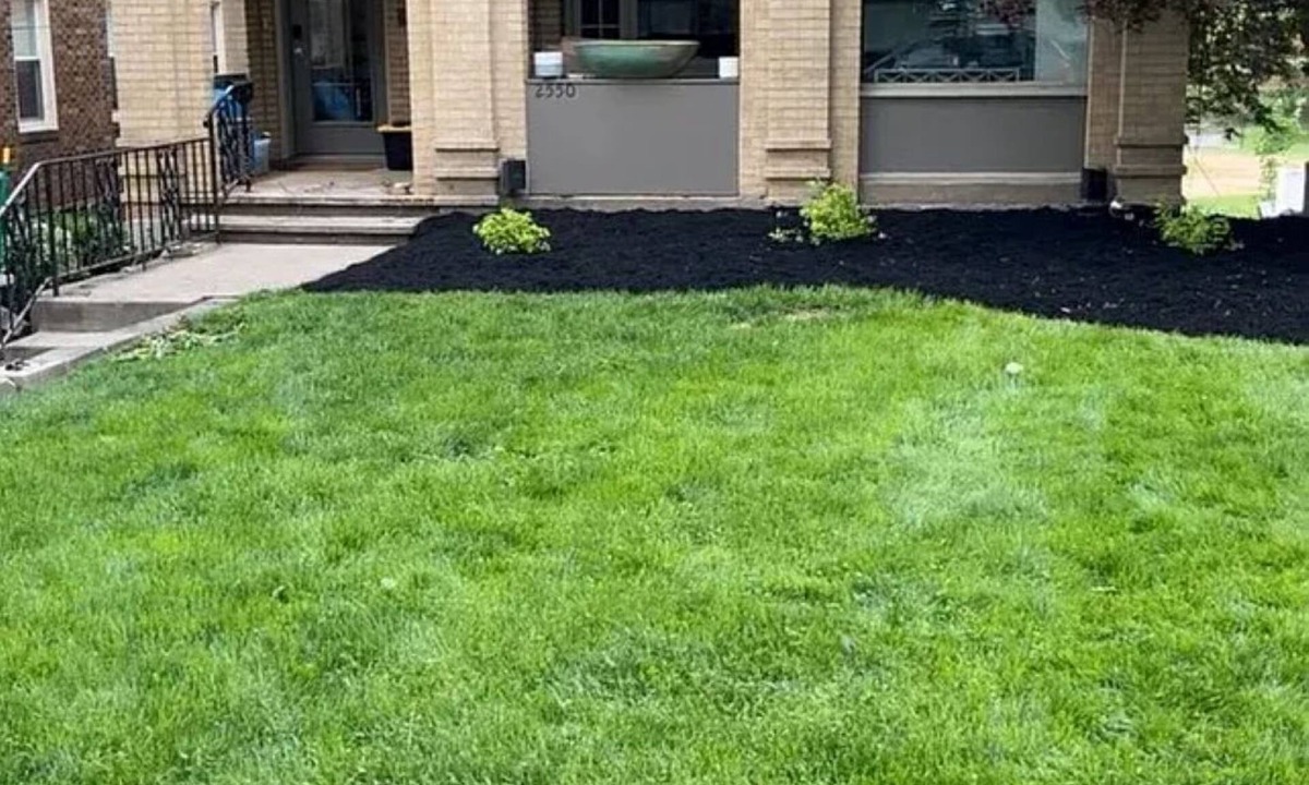 Squirrel Hill South House | Walkable Draft or Game Day Stay Near Acrisure Stadium 3 BR Private Home