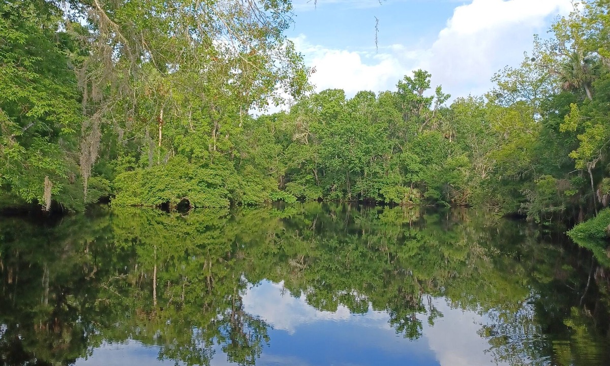 Perry Cottage | Waterfront open floor plan cottage on the scenic Aucilla River.