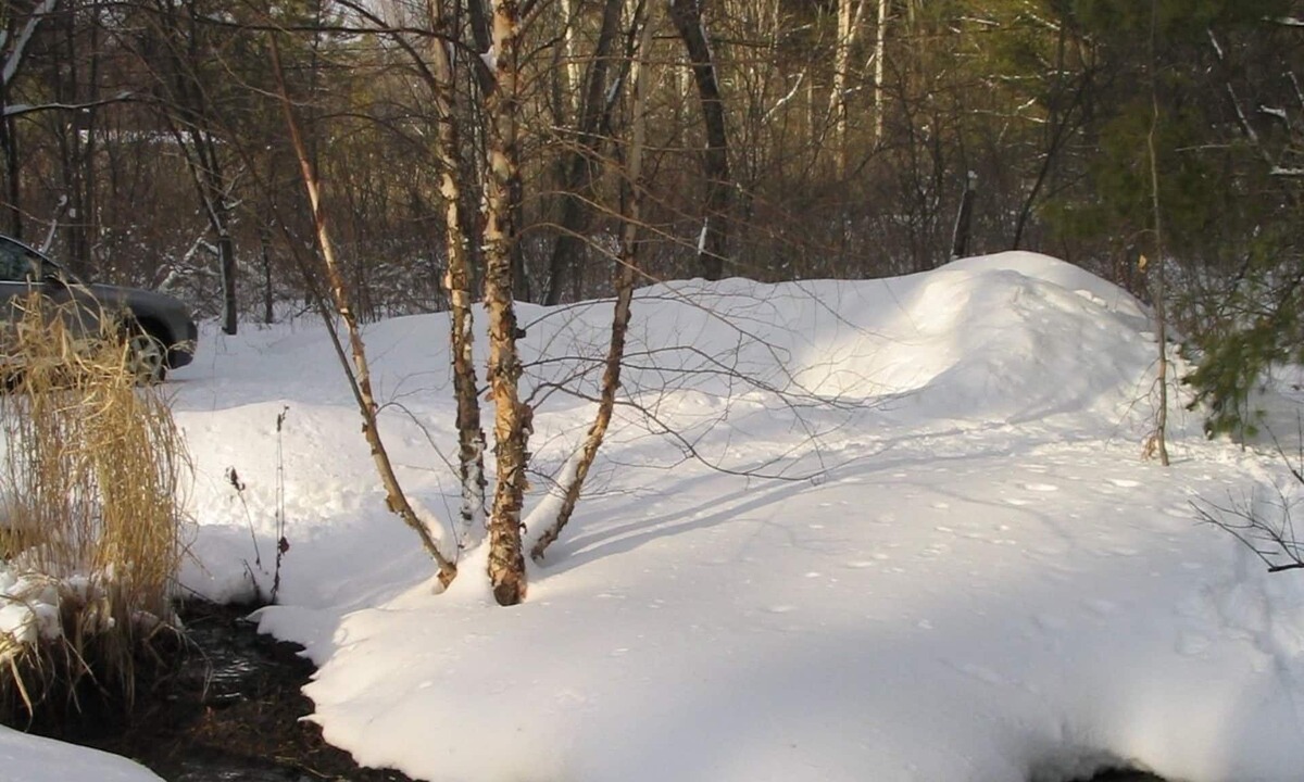 Glendale House | Woods & Windows - Treehouse for Adults - Near a Lake, Waterfall and Tanglewood!