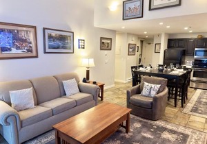 310 Snowblaze condo