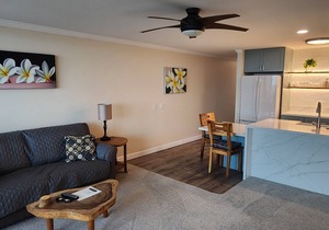 Just finished complete renovation in March, 2025