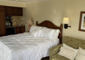 Studio Condo at ocean front resort with pool and ocean views
