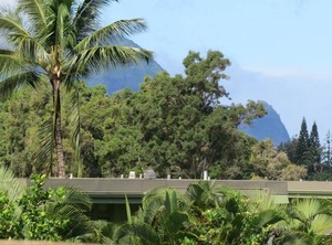 Hanalei Bay Resort Princeville | Queen Emmas Bluffs