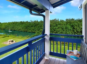 Kauai Dolphin Cottage | Hanalei