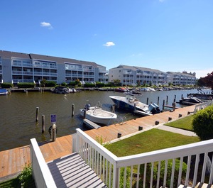 Thunder Island 