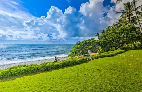 Wailua Condo | 34 m² Condo ∙ 2 guests