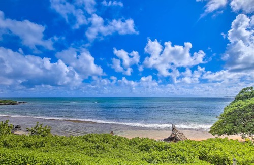 Wailua House Lots Condo | 34 m² Condo ∙ 2 guests