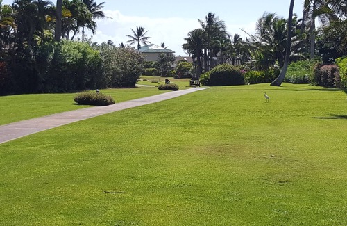 Poipu Apartment | Bayview, Poipu, Koloa Hawaii "Torview" Air conditioned