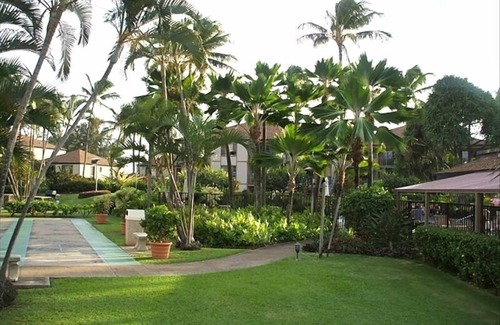 Kapaa Condo | PERFECT KAUAI Condo! Steps from Beach/2bd2bth Washer/Dryer AC -Free Parking
