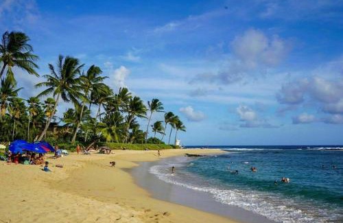 Poipu Apartment | Poipu Beach Bungalow