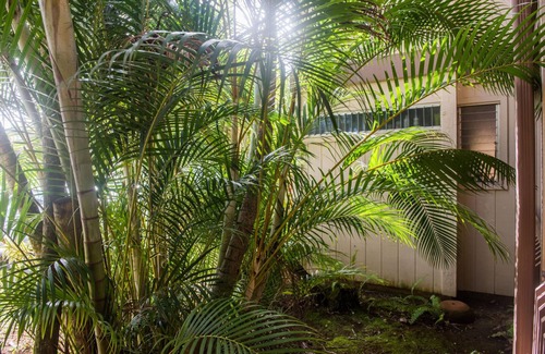 Princeville Apartment | Princeville Sands Studio with Pool and Hot Tub (137-B)
