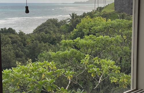 Princeville Apartment | Secluded Oceanfront Cottage- in Princeville – Private large Spa & Stunning Views