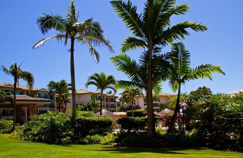 Wailua Condo | Waipouli Beach Resort Exquisite Ground Floor Pool View