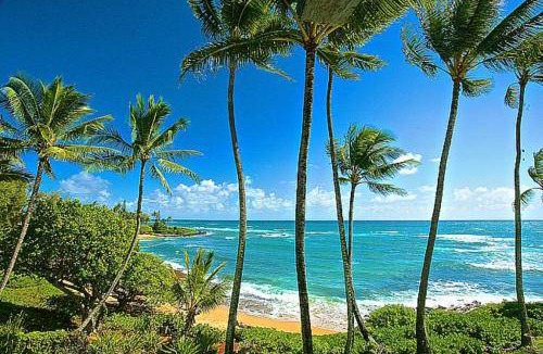 Wailua House Lots House | 121 m² House ∙ 2 bedrooms ∙ 6 guests