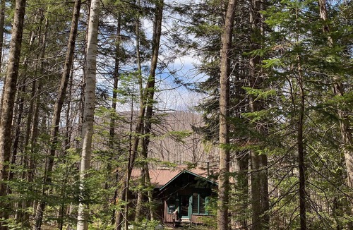 North River Cabin | 3-Acres Adirondack Cabin: Private Beach, Hiking, Sauna, Pool Table,