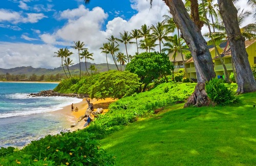 Wailua Condo | 34 m² Condo ∙ 2 guests