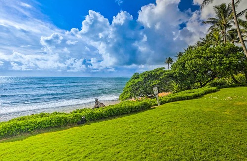 Wailua Condo | 34 m² Condo ∙ 2 guests