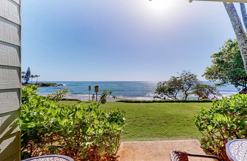 Wailua House Lots Condo | 34 m² Condo ∙ 2 guests