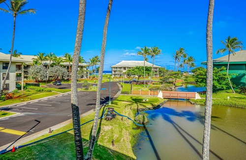 Hanamaulu Condo | 75 m² Condo ∙ 1 bedroom ∙ 4 guests