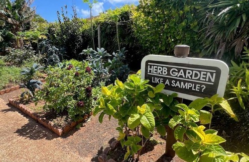 Kapaa Condo | A Welcoming Beachfront 2BR/2BA, Vacation Home, W/D, AC, STEPS TO BEACH!