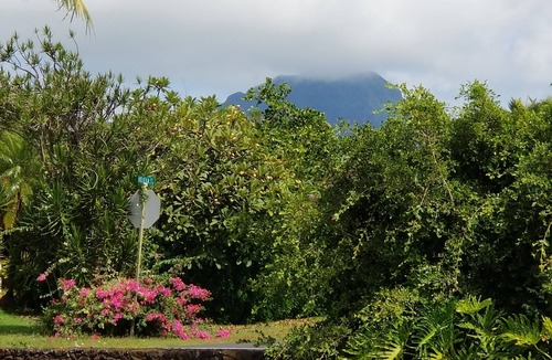 Poipu Apartment | Bayview, Poipu, Koloa Hawaii "Torview" Air conditioned