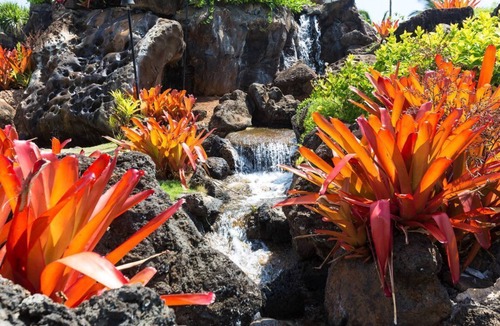 Hanamaulu Apartment | Best Deal in Town kauai beach resort, romantic, "Zen" and super relaxed!