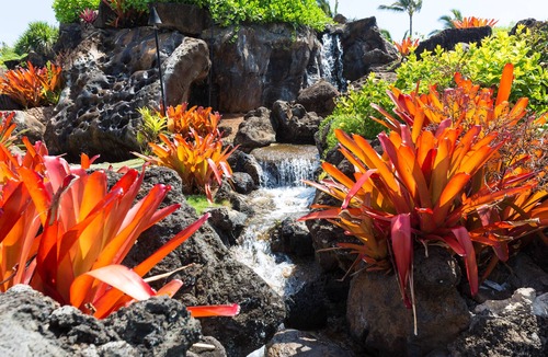 Hanamaulu Apartment | Best Deal Luxury Resort in Town Sleep 4 romantic, fun and relaxed