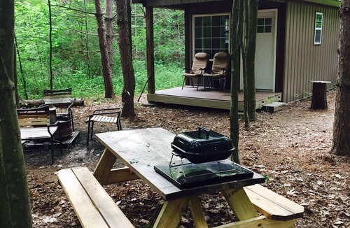 Prattsburgh Cabin | BIRD HOUSE - PET FRIENDLY! - OFF GRID - ROMANTIC WINE TRAIL CABIN - 4 Seasons