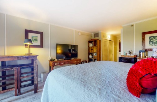 Hanamaulu Condo | Condo ∙ 2 guests