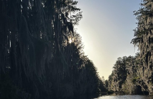 Folkston Cabin | Deluxe Cabin - The River Otter Lodge - Our Deluxe Cabins offer comfort with a true Okefenokee feel. Climate controlled, private, and set in a quiet part of the campground.