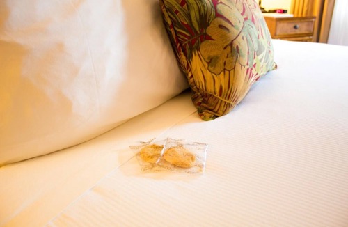 Volcano Hotel | Everything You Need For The Perfect Vacation! Cozy Unit w Bike Rental & Parking!