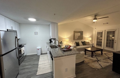 Alpharetta Apartment | Fabulous Fully-Furnished Apartment in Alpharetta