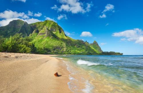 Anahola Other | Kauai Rooftop Camper SUV Sleep Under the Stars